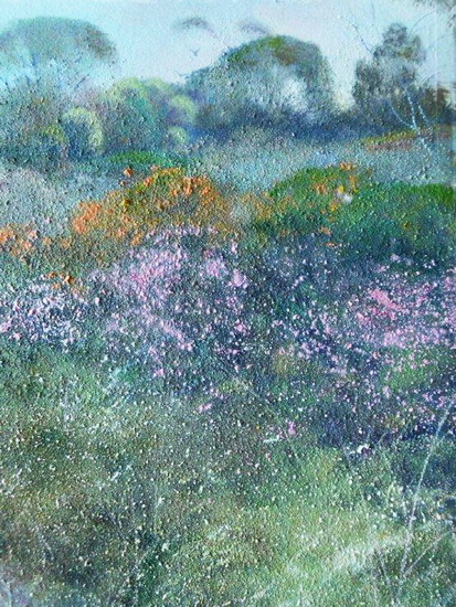 Bruce Malloch - Hillside Flora (Bremer Bay WA)