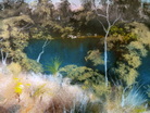 Bruce Malloch - Sunlight on the bank, Kalgan river WA
