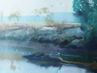 Bruce Malloch - Morning Light