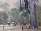 Bruce Malloch - Summer Haze (Capel WA)